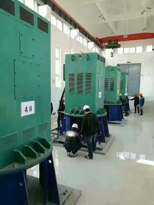 连云港某污水处理厂使用我厂的立式高压电机安装现场